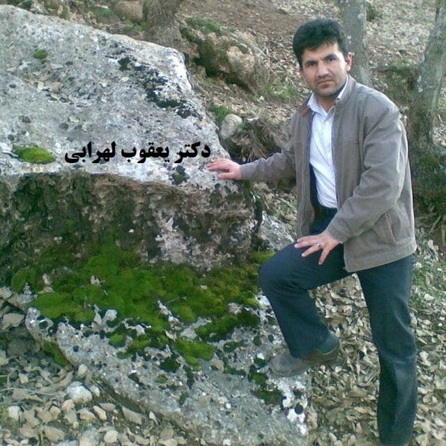 دکتر لهرابی بهترین مشاور تحصیلی کشور  دکتر لهرابی بهترین مشاور تحصیلی شهرکرد دکتر لهرابی بهترین مشاور تحصیلی اصفهان دکتر لهرابی بهترین مشاور تحصیلی ایران